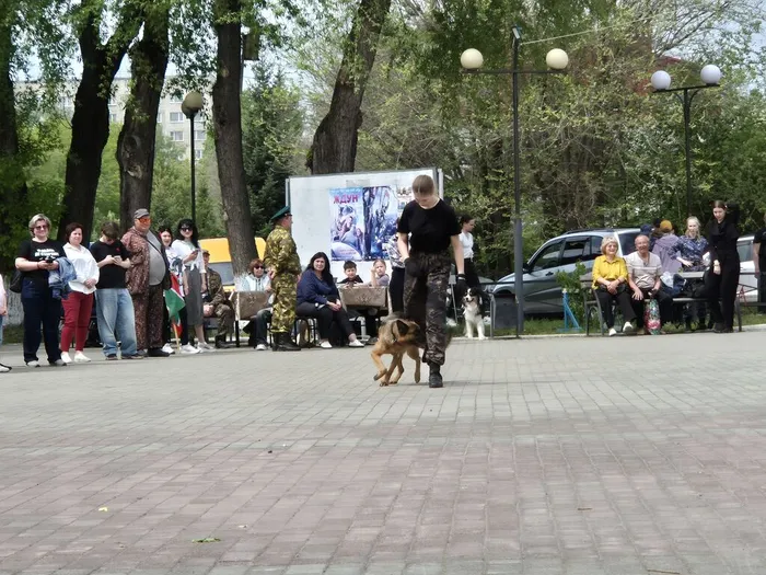 20260528_114729